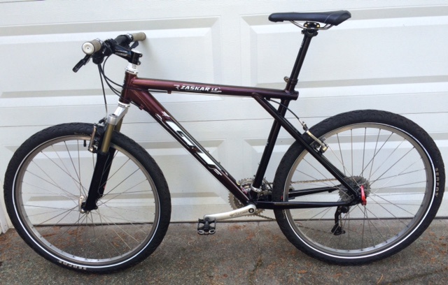 1999 GT Zaskar LE Cosmic Sunrise For Sale