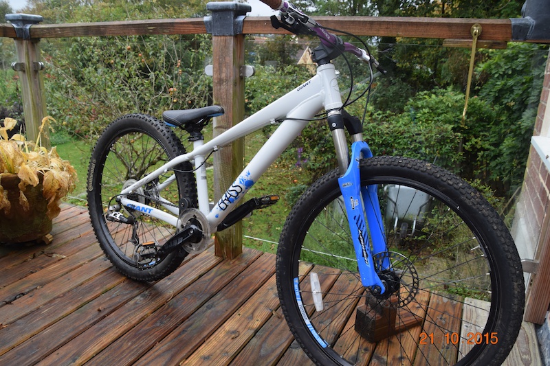 giant brass mountain bike price