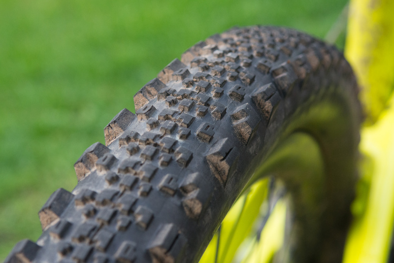 Maxxis Minion SS review