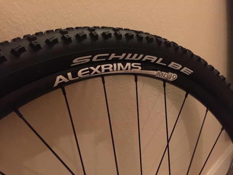 md19 alexrims