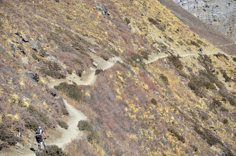 The awesome single track up to Throng Phedi at 4500m