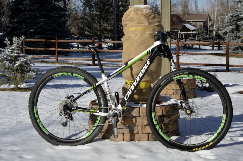 cannondale f29 team