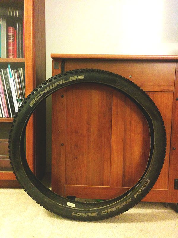 2015 Hans Dampf and Minion DHF tires for sale