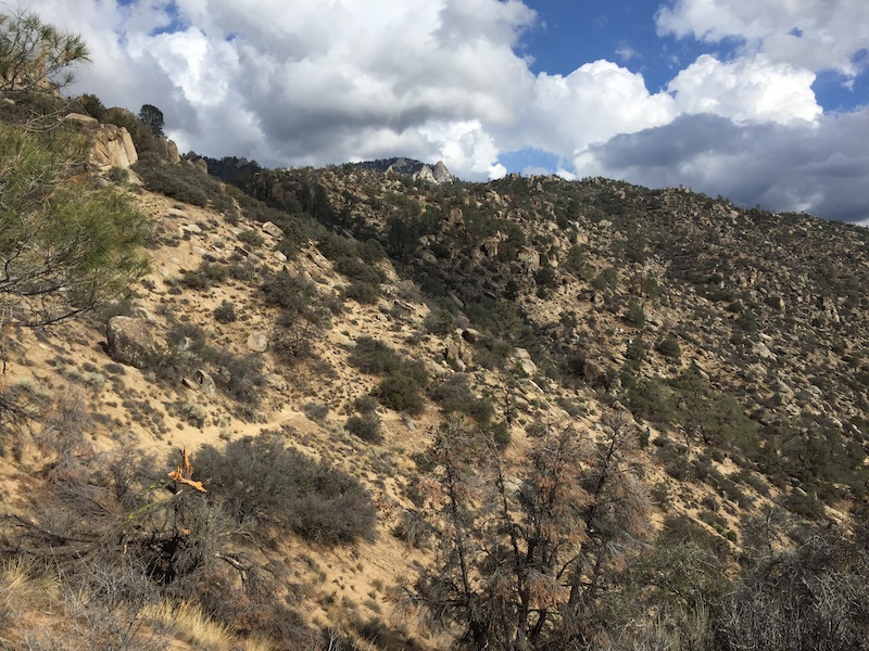 The Cannell Meadow Trail Mountain Bike Trail Kernville