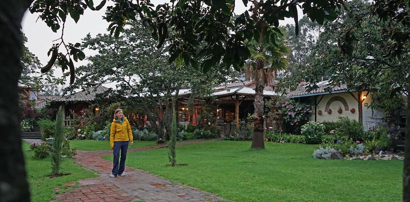 Casa Jimenita gardens