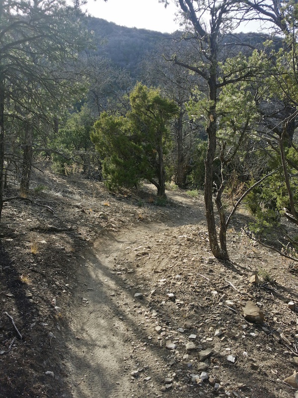 Birdhouse Ridge Multi Trail Albuquerque, New Mexico