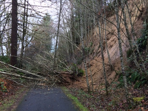 Work Party for Dec 12th CANCELED! Area has landslides and flooding prompting the park officials to close the entire park area. Check NWTA.org for more trail days!