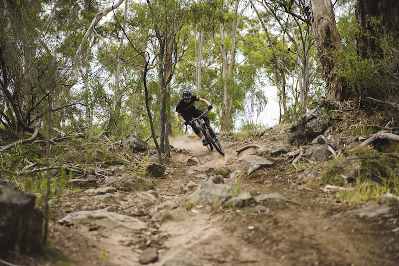 rocky mountain bike trail