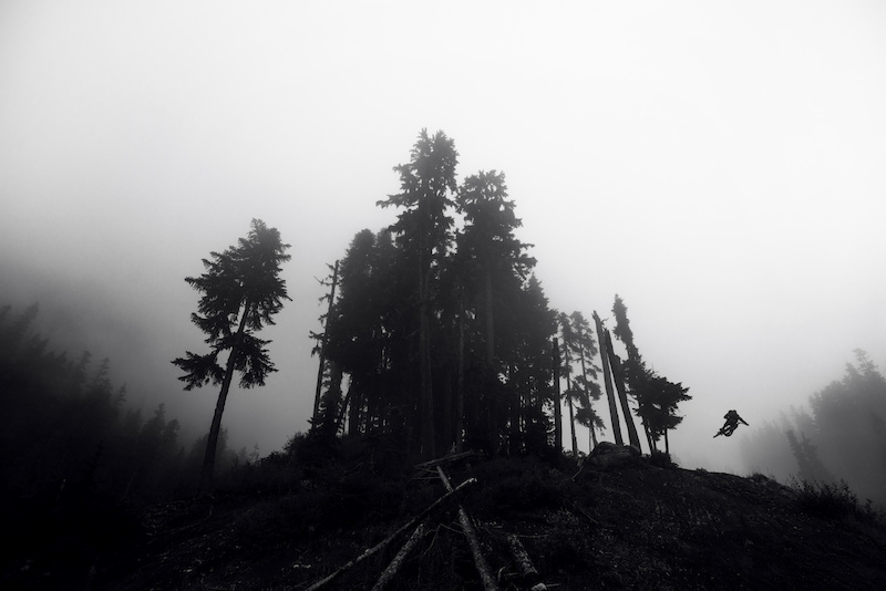 Into the mist. Deep Summer 2015.