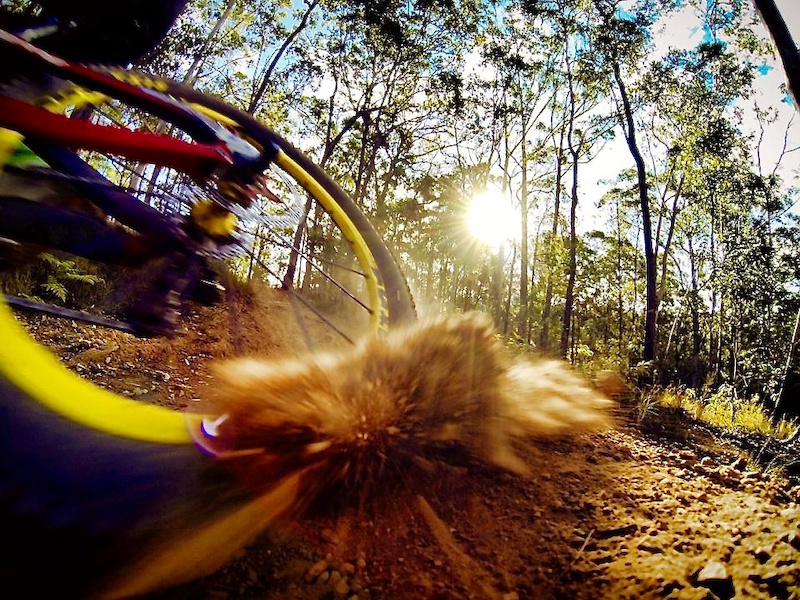 Photo by Andy Barlow - Selfie Remote, Shot with GoPro 3 Black, In the late afternoon at Hennessy Downhill Track at Beerburrum, Sunshine Coast, Queensland.