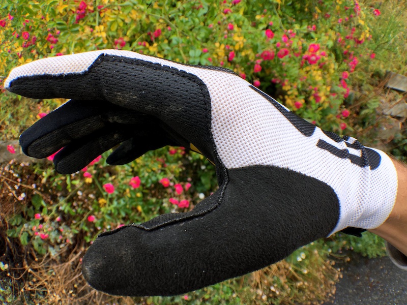 SCOTT BIKE Rc Pro Lf BLCK//SYLW 2753925024 Men’s Clothing Gloves Long