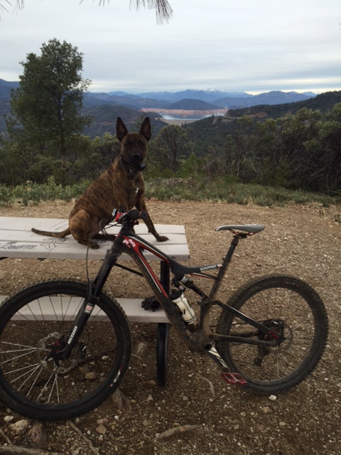 Stumpjumper and Pismo T Traildog on top of Chamise Peak