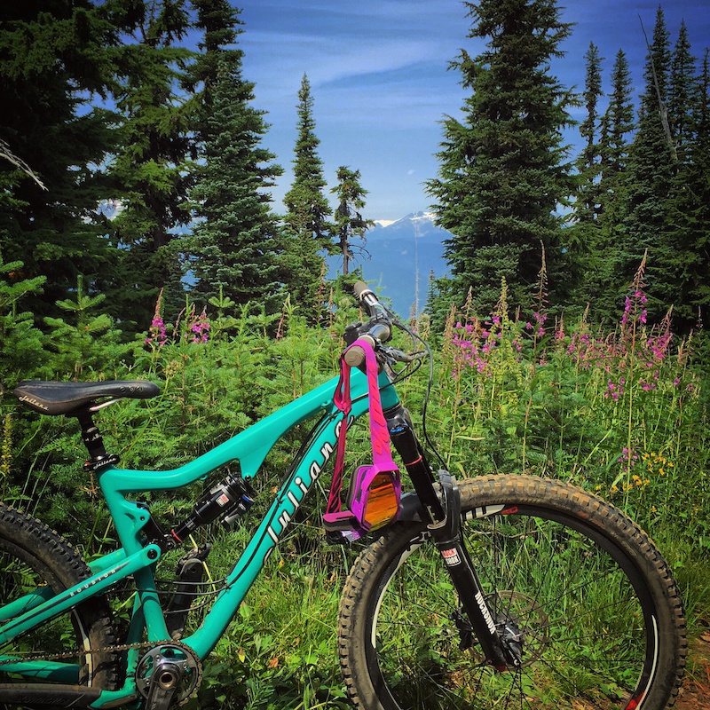 juliana roubion for sale