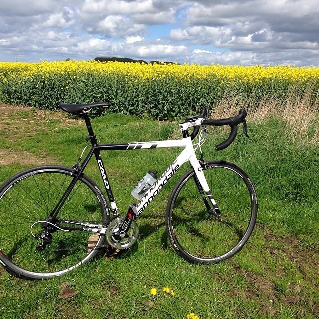 cannondale caad10 for sale