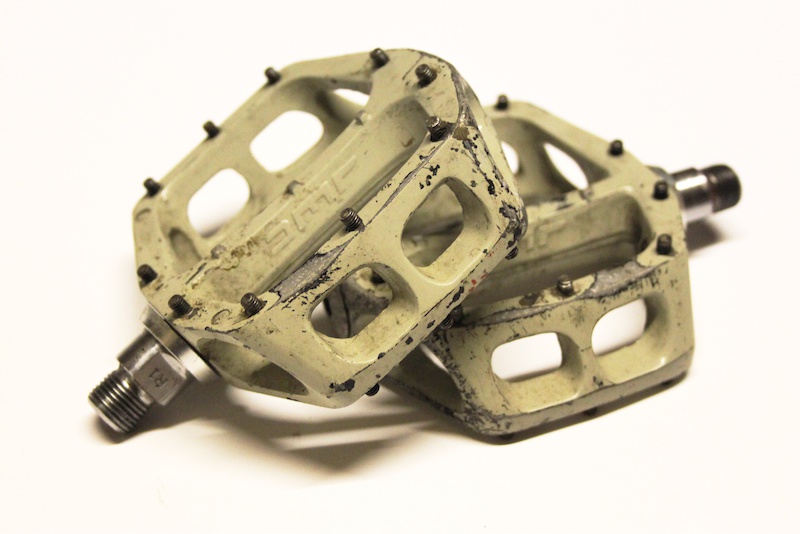 dmr v12 magnesium review