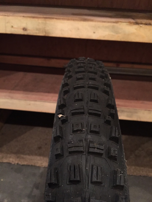 schwalbe big betty 27.5