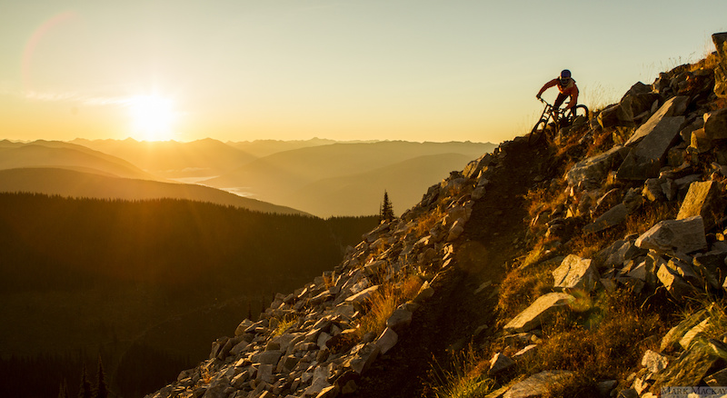 Nelson s Alpine Gold