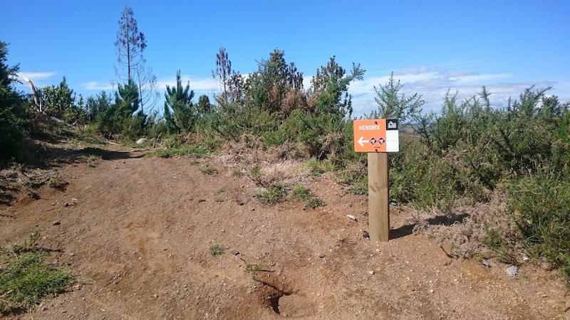 mountain biking new plymouth