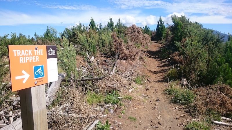 mountain biking new plymouth