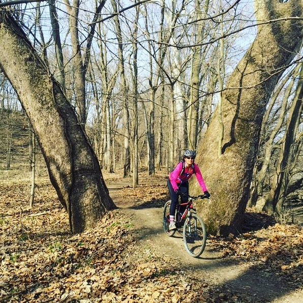Riding between huge, ancient Sycamores, White River floodplain