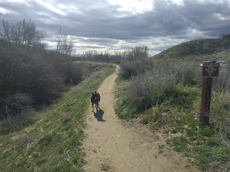 Mountain Cove Mountain Biking Trail Boise, Idaho