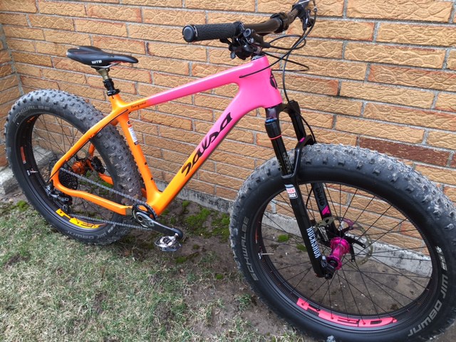 2016 salsa beargrease carbon x1