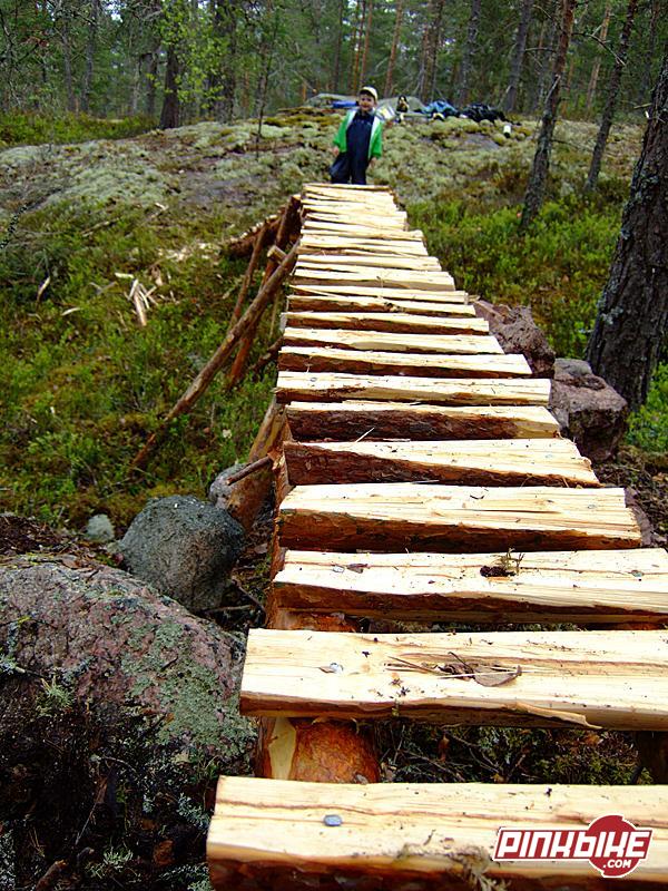 New ladder bridge to add some flow to the trail