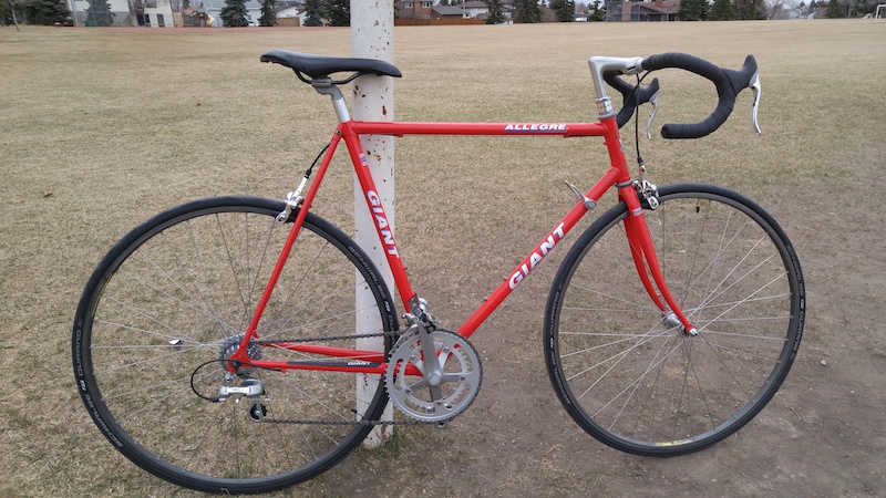 Giant allegre road store bike