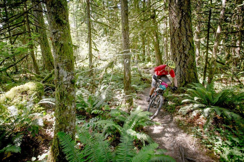 vedder mountain bike company