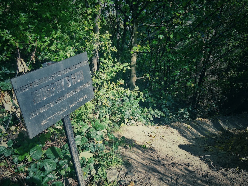 camp murphy mountain bike trails