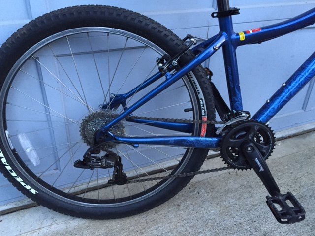 specialized myka blue