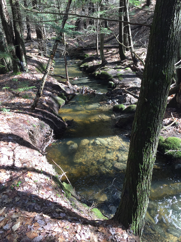 Gold Digger Mountain Biking Trail Gorham, Maine