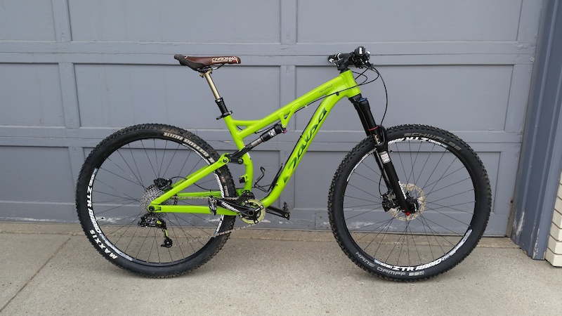 salsa horsethief 2018