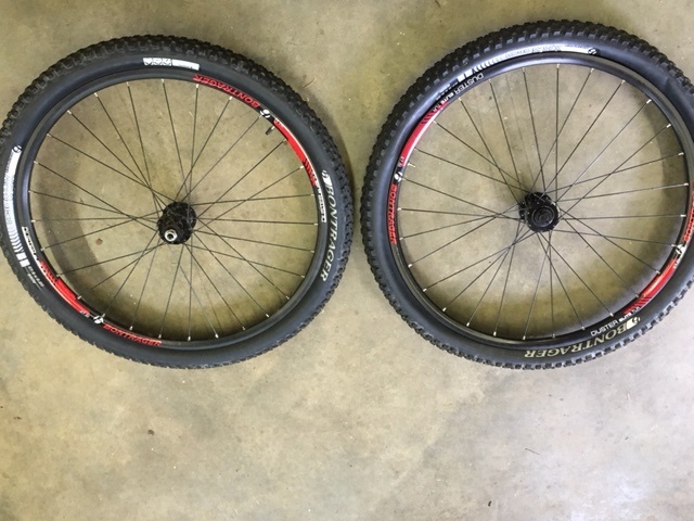 bontrager duster elite tlr 27.5
