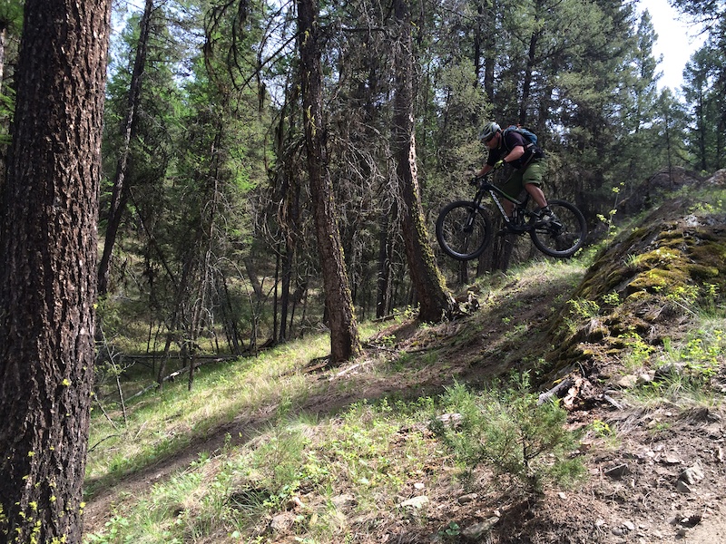 Knight's Trail Mountain Biking Trail - Cranbrook, BC