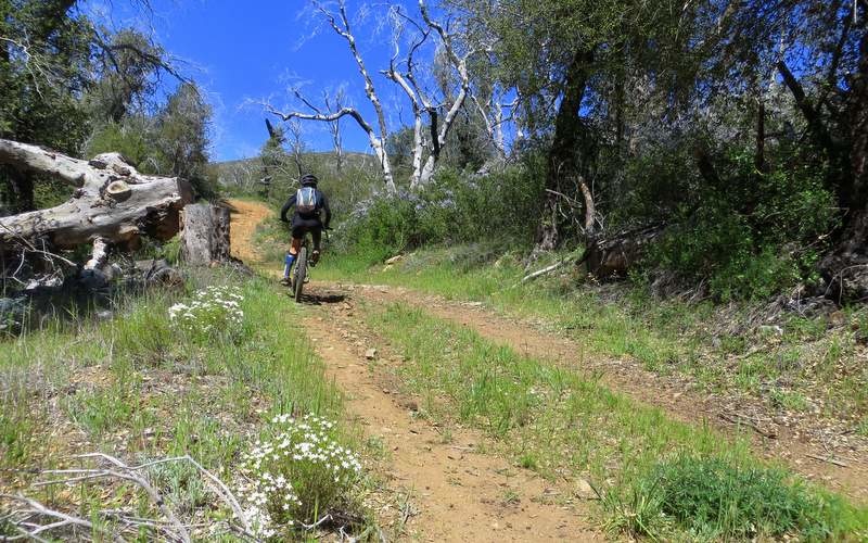 green valley mountain bike trails