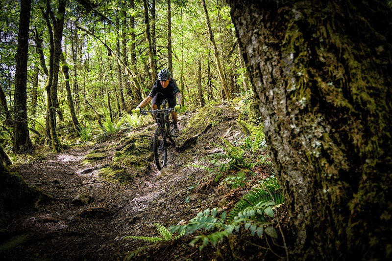 Mike Levy in Chilliwack, British Columbia, Canada - photo by mikelevy ...