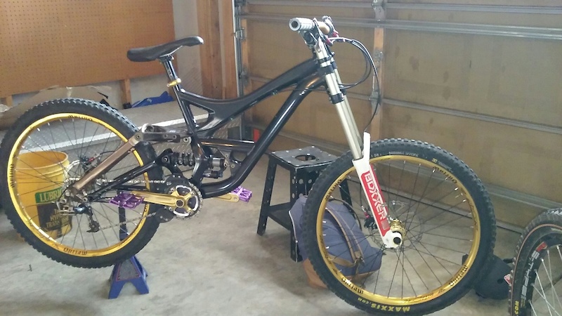 2008 specialized demo 8