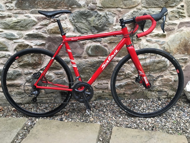 2015 salsa warbird