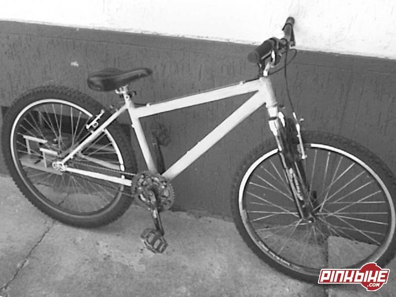 my white and black bike