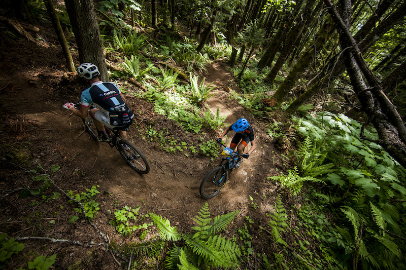 vedder mountain bike company