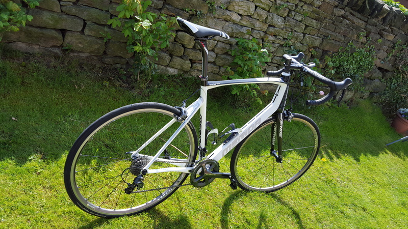 merida ride carbon