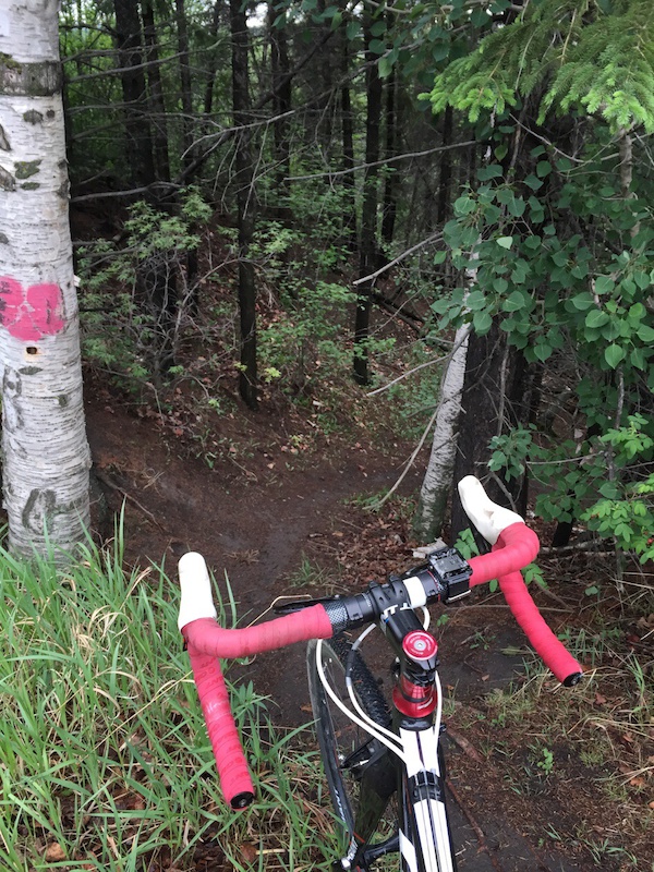 Saskatchewan Dr Access Mountain Biking Trail Edmonton