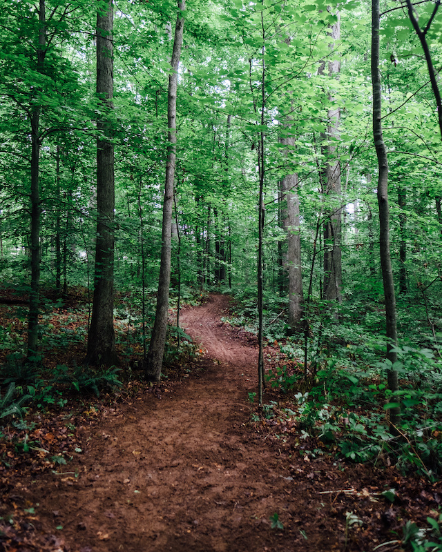 cane ridge mountain bike trail