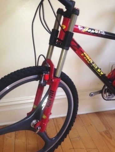 1997 PRO-FLEX BEAST mountain bike GIRVIN SPIN carbon wheels
