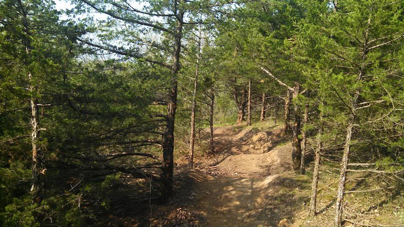 Bobcat Trail, Whiterock Conservancy, IA