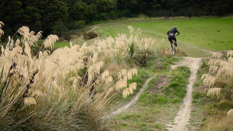 toonhoogte media Klik 4X Track Mountain Biking Trail - Signal Hill, Dunedin