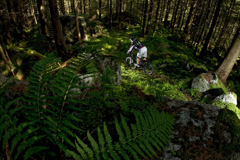 Lochle Alm Trail | © Ötztal Tourismus