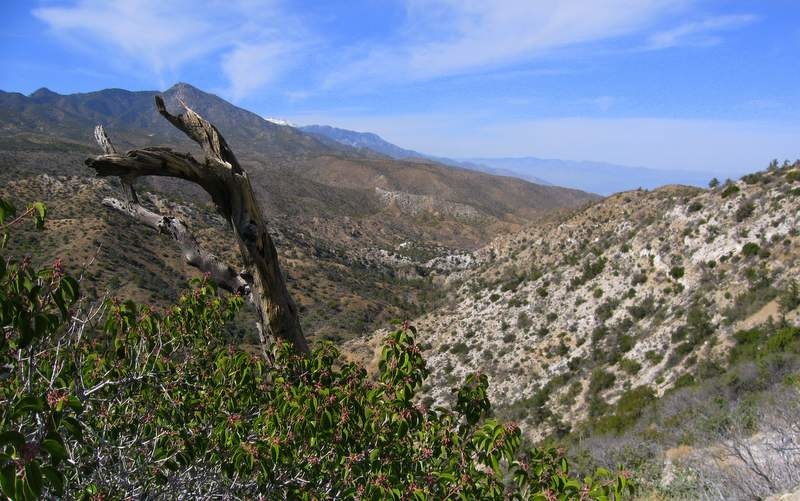 View down into Palm Canyon to is quite impressive. Picturesque views in every direction you may find it hard to keep your eyes on the trail.