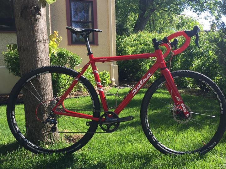 salsa warbird for sale